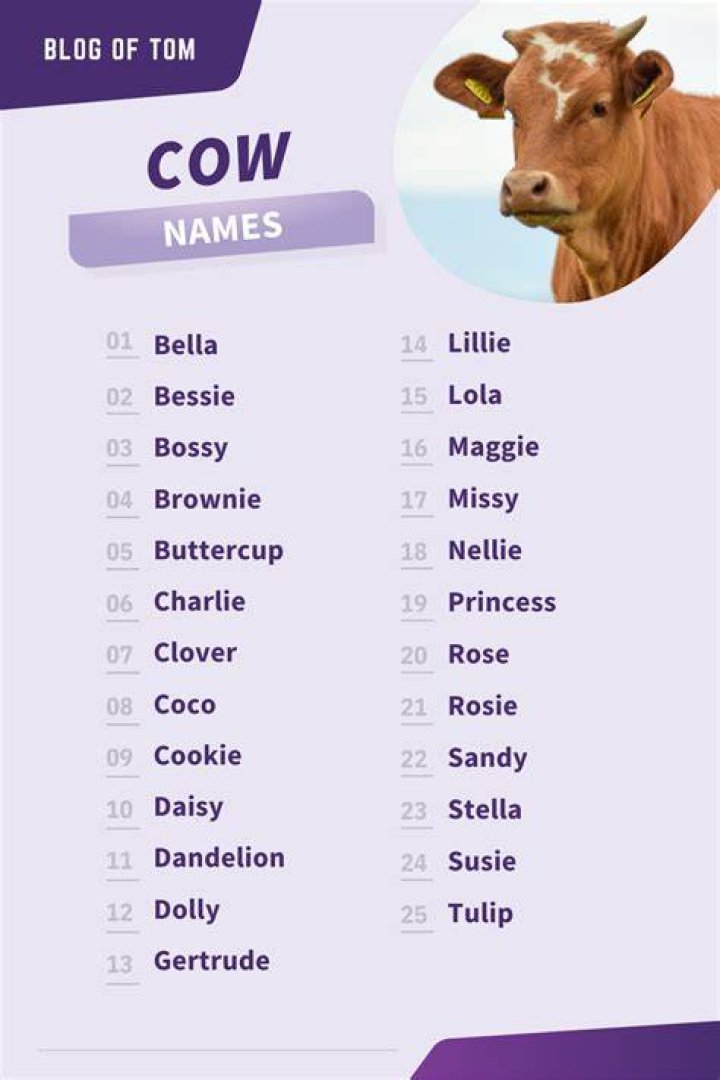 100+ Cow Names Funny and Cute Names SmartPet