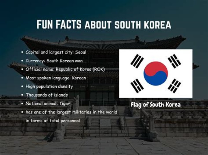 11 fun facts about Korean actress Lee Yoomi Her World Singapore