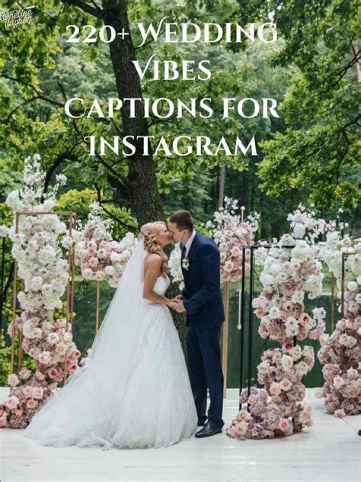 125 Wedding Instagram Photo Captions Funny Quotes for Bride, Friends