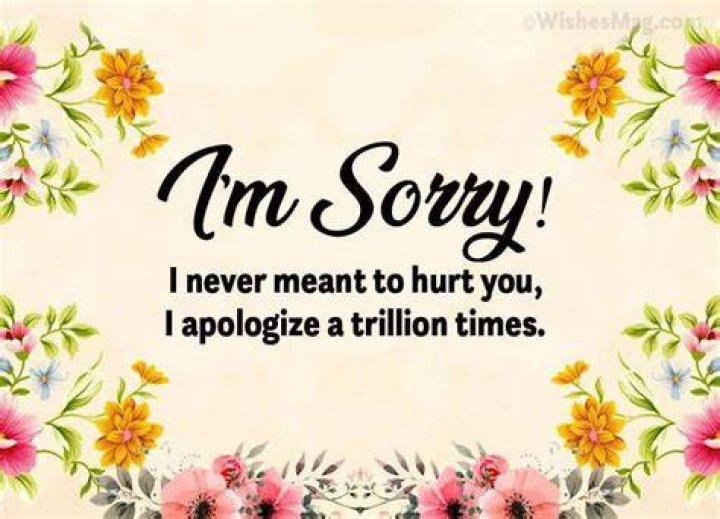 15 Sorry Quotes And Messages for Husband Events Greetings
