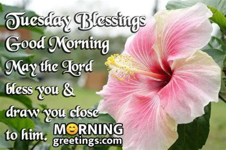 30 Amazing Tuesday Morning Blessings Morning Greetings Morning