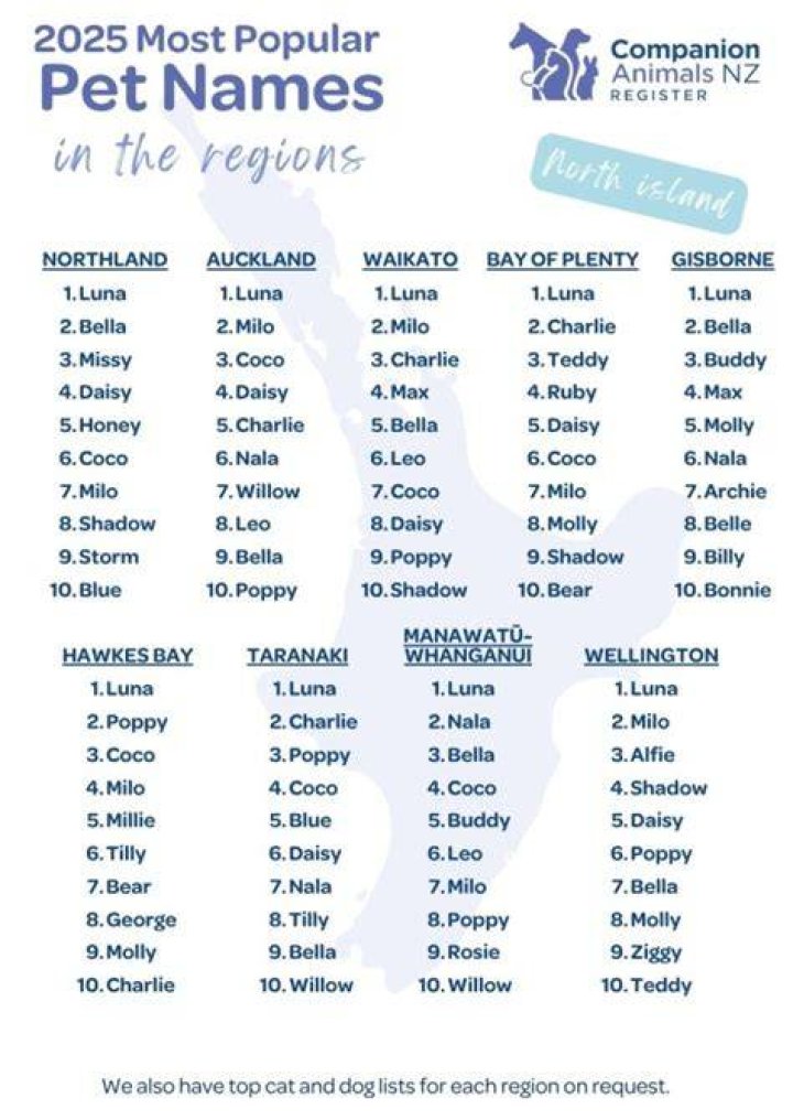 46 Names for Pet PotBellied Pigs