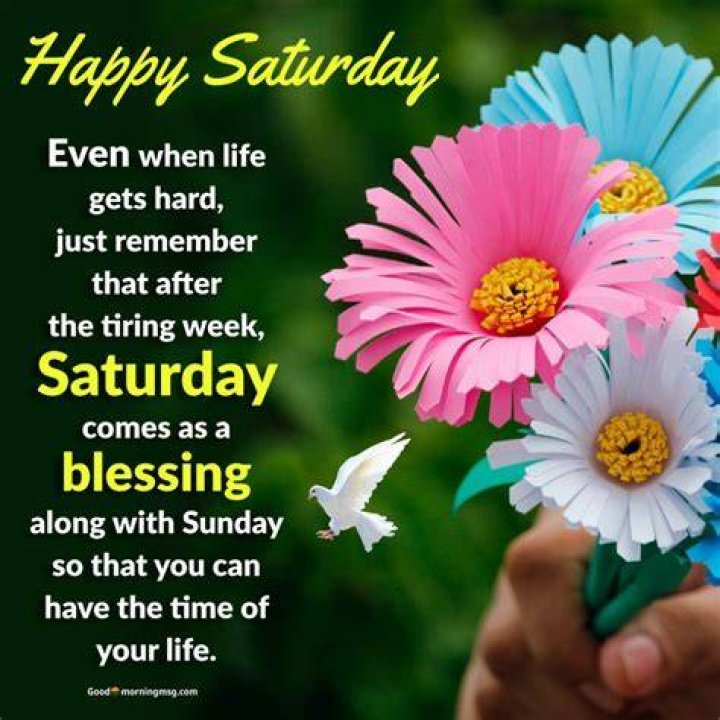 60 Good Morning Saturday Images with Beautiful Quotes