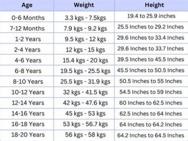 A Comprehensive Dive Into Age, Height, Weight, And Biography