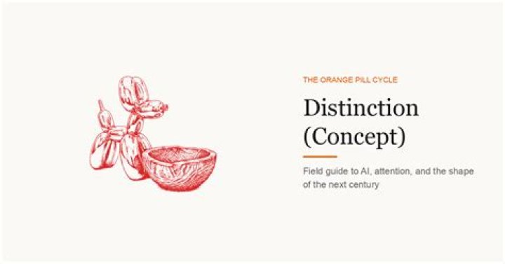 A Guide To Style And Distinction
