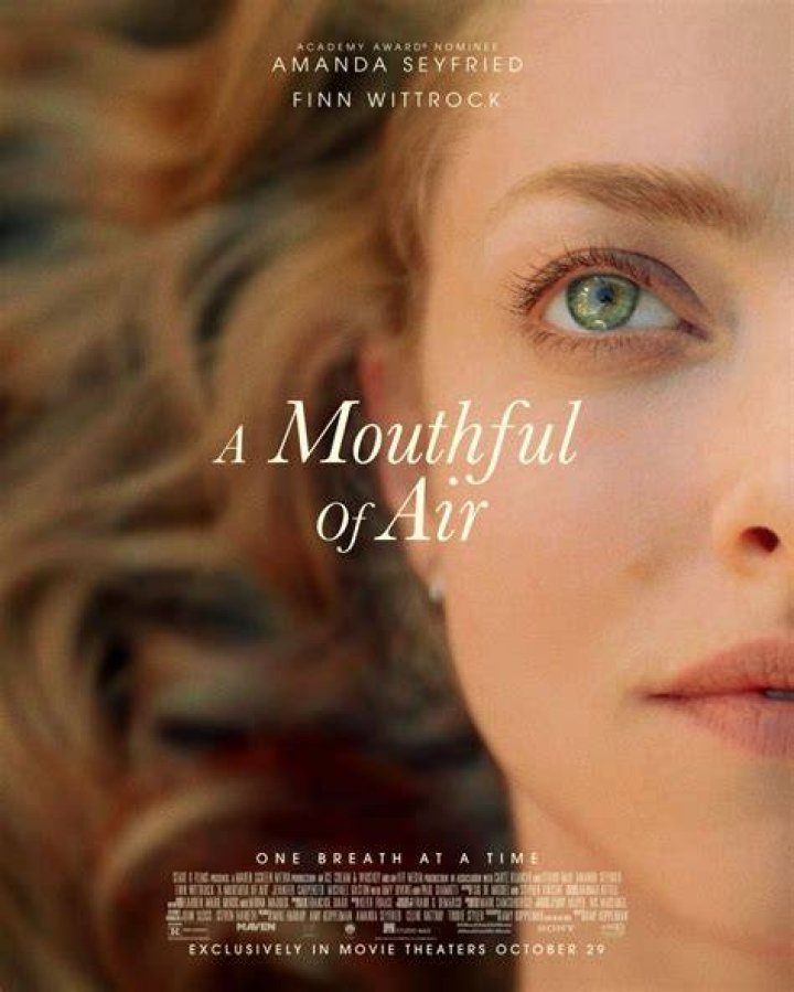 A Mouthful of Air Review: Amanda Seyfried Spirals in Oblique Mental Health Portrait