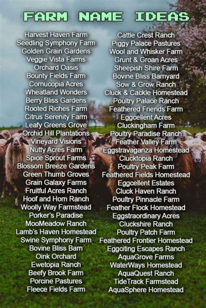agriculture Farm name, Homestead farm, Mini farm