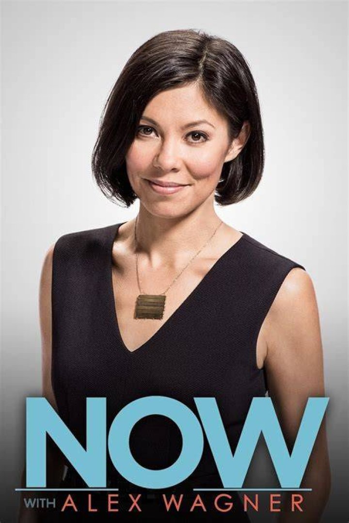 Alex Wagner - Bio, Age, Wiki, Facts and Family