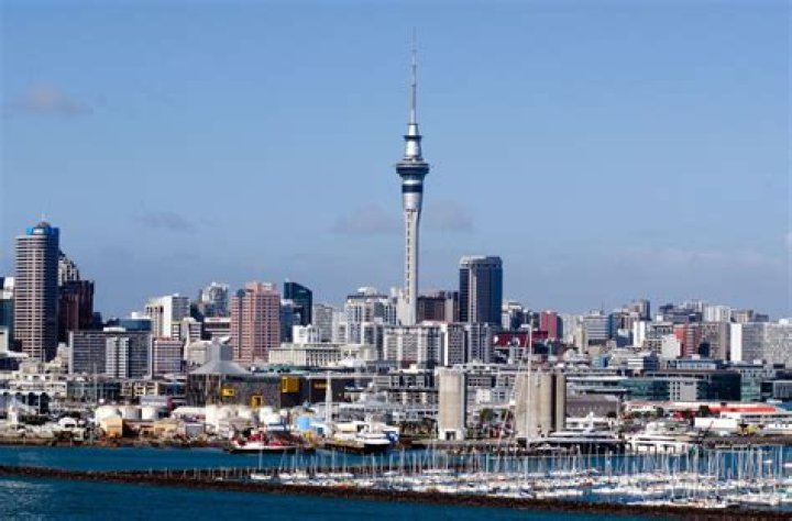 ALEXANDER MAKANI Auckland, Auckland, New Zealand Professional