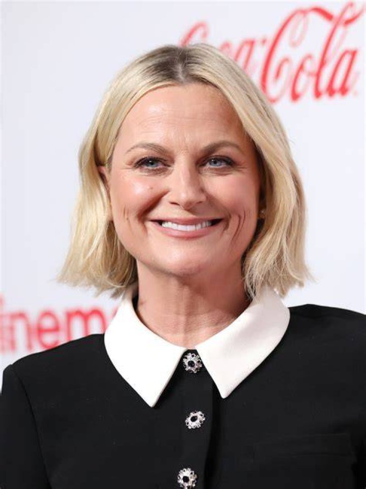 Amy Poehler Is A Doctor(?) In New Audacy Podcast Series Radio Ink