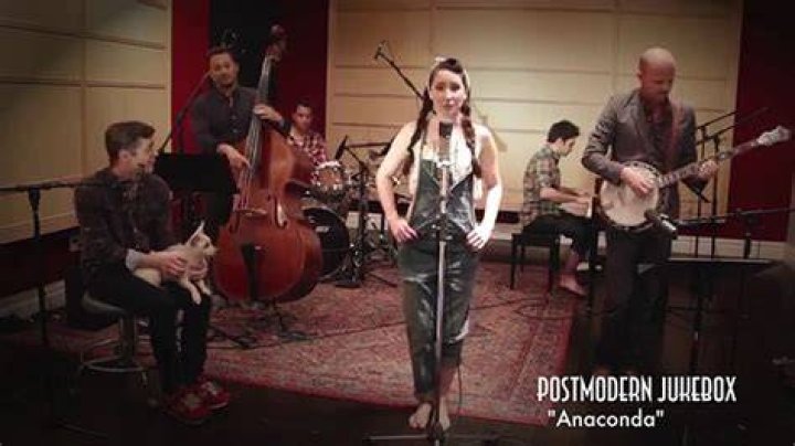 Anaconda - Vintage Bluegrass Hoedown - Style Nicki Minaj Cover feat. Robyn Adele Anderson - bluegrass remakes of rocksongs