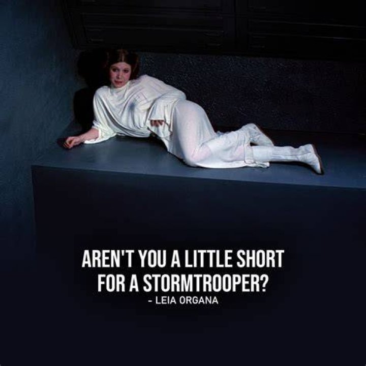 Arent You a Little Short for a Stormtrooper? and More Memorable Princess Leia Star