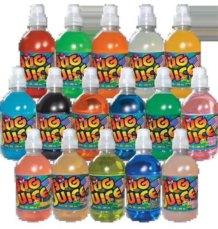 Bug Juice Where Are They Now
