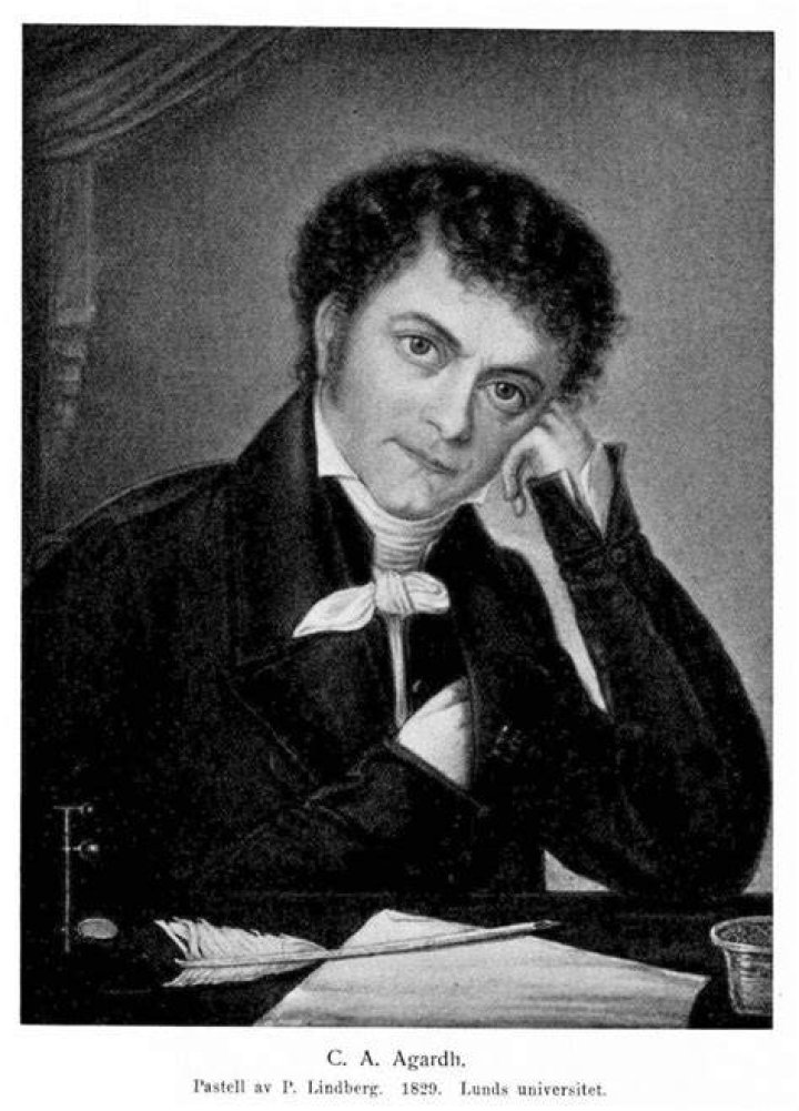 Carl Adolph Agardh