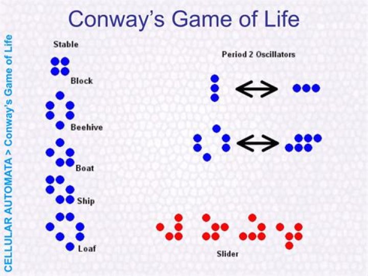 Conway's Weight Loss Did The Political Activist Lose Weight