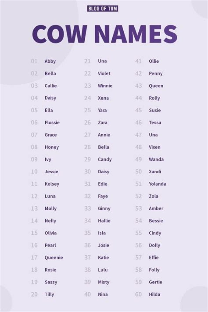 Cow Names Cow names, Cows funny, Funny cow names