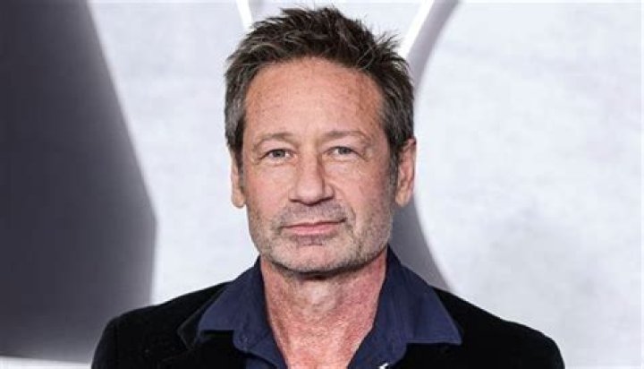 David Duchovny - Bio, Age, net worth, height, Wiki, Facts and Family