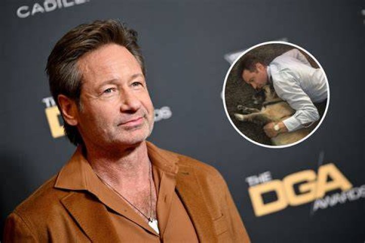 David Duchovny's Official Height