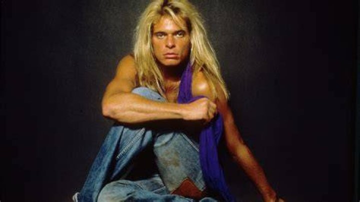 David Lee Roth discography Return of Rock