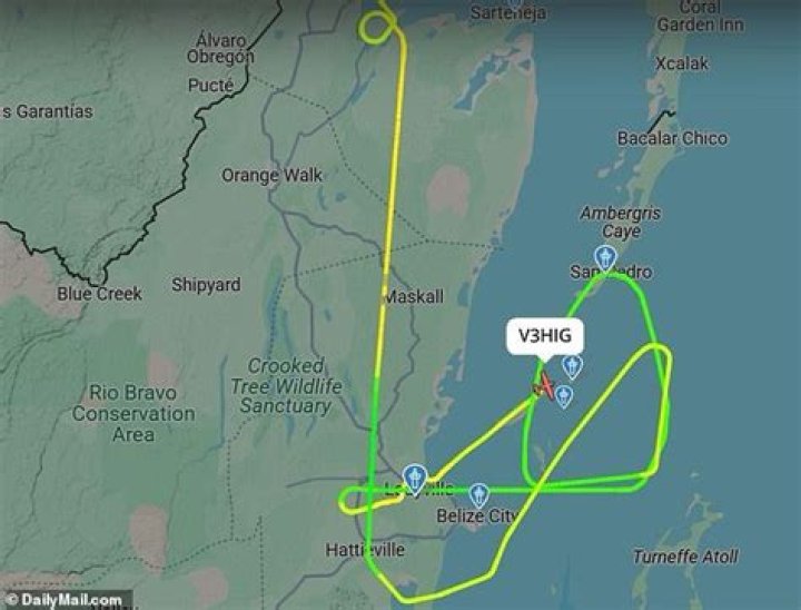 Did Belizean Pilot Crash Land Jimmy Buffett's Private Plane