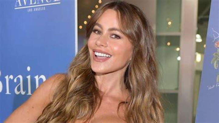 Discover The Secrets Behind Sofia Vergara's Hilarious "Mean Tweets"