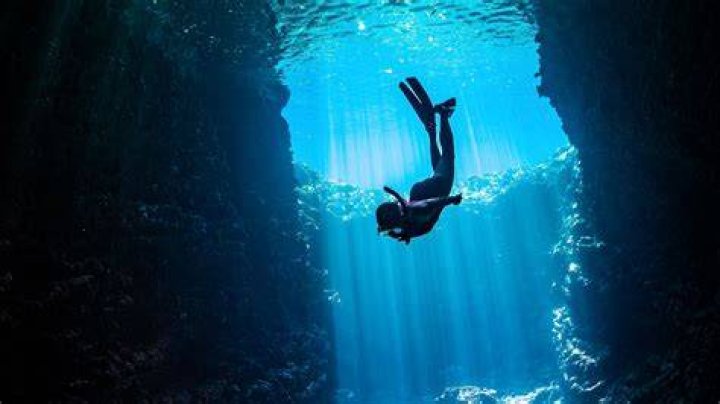 Diving into the Intriguing World of Doug Jackner Businessman, Enigma