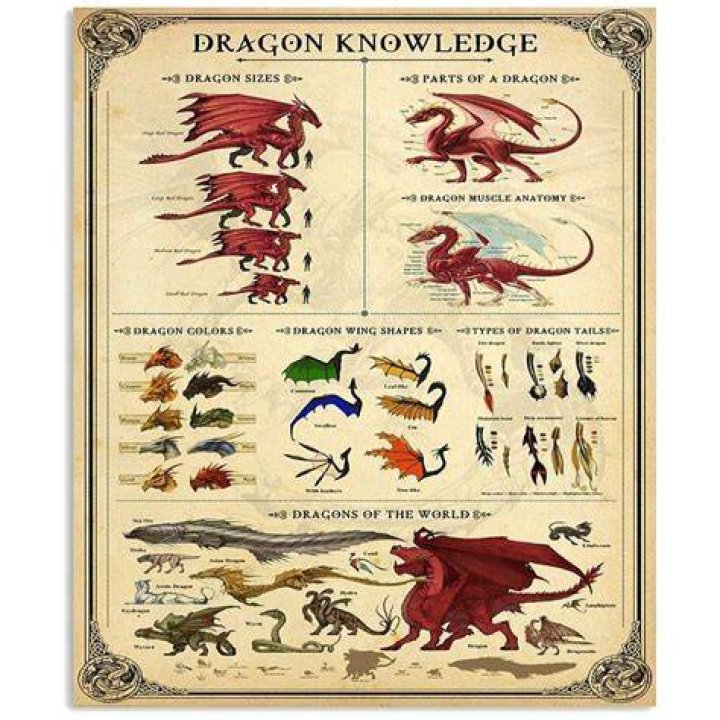 Dragon Knowledge Chart in 2023 Fantasy creatures art, Dragon artwork