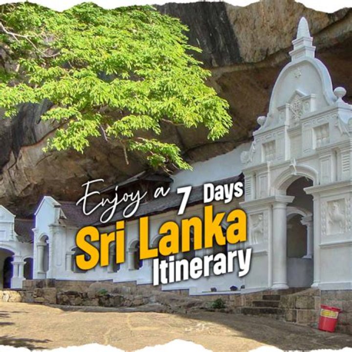 EXOTIC TRANS SRI LANKAN HERITAGE ( SUPER HUNG ) MarsillPost