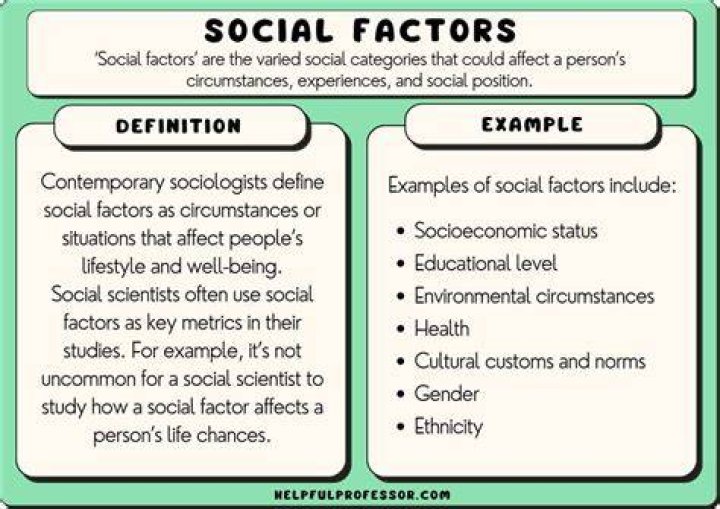 Exploring The Factors And Societal Implications
