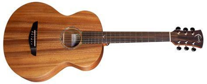 Faith Guitars ® Official
