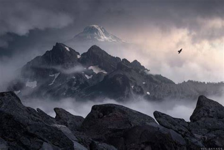 FAR OVER THE MISTY MOUNTAINS COLD | Low Bass Singer Cover - country songs with deep voices
