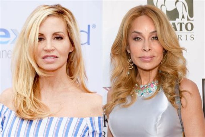 Faye Resnick and Camille Grammer's drama dates back to 'dinner party