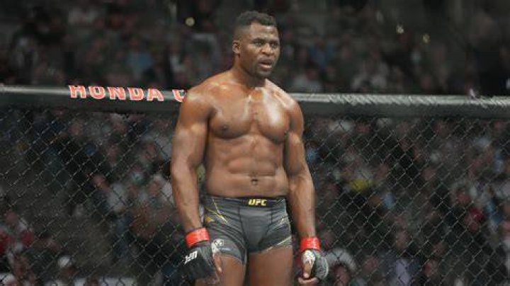 Francis Ngannou Opens as Heavy Betting Favourite Against Rozenstruik