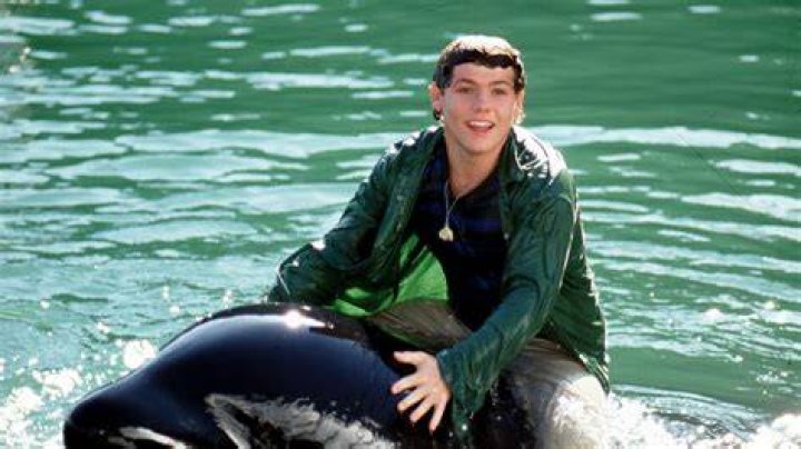 Free Willy 3 The Rescue (1997) Backdrops &mdash; The Movie Database (TMDB)
