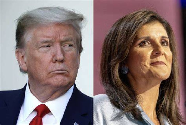 Gerald Hanson Trending Nikki Haley's Husband Michael