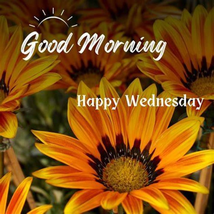 Good Morning Happy Wednesday