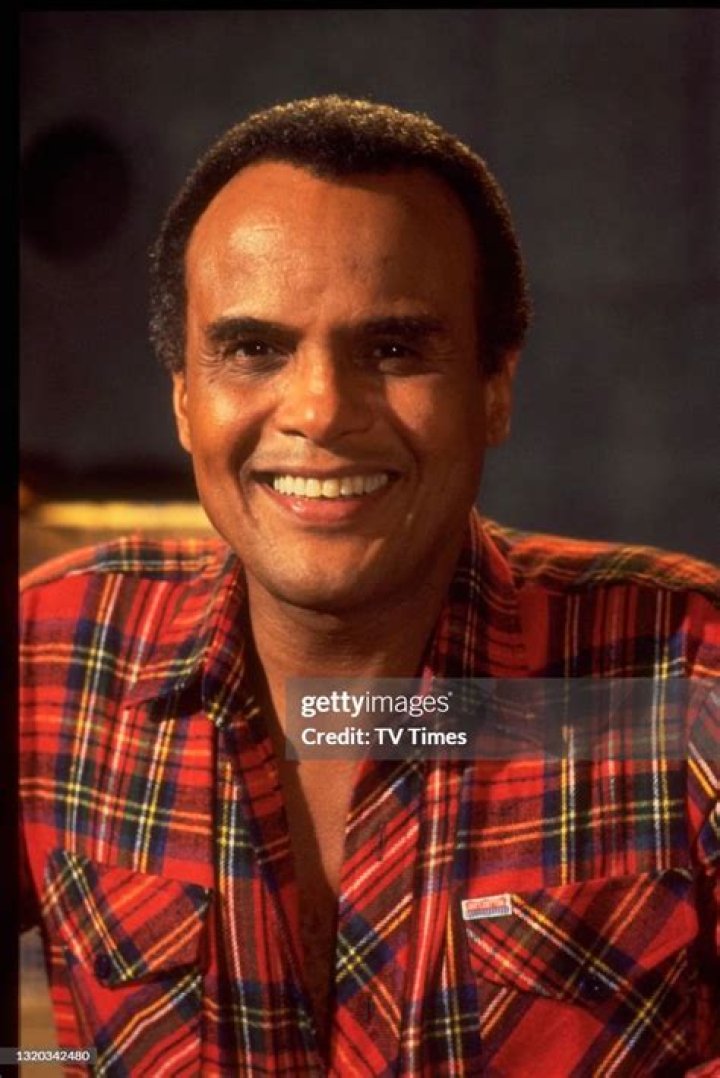 Harry Belafonte Meet the Late Singer&rsquo;s 4 Kids Hollywood Life