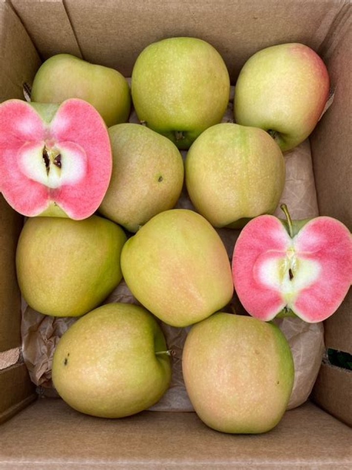 Hidden Rose Apple Buy organic pink inside apples online from Miami Fruit