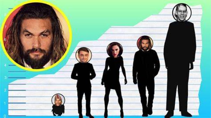 How Tall Is Jason Momoa? POPSUGAR Celebrity