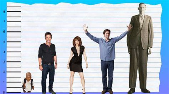 How Tall Is Rob Lowe? Height Comparison! YouTube