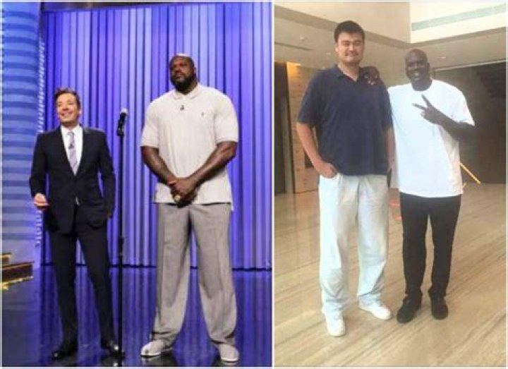 How Tall Is Shaq, and What Is His Shoe Size?