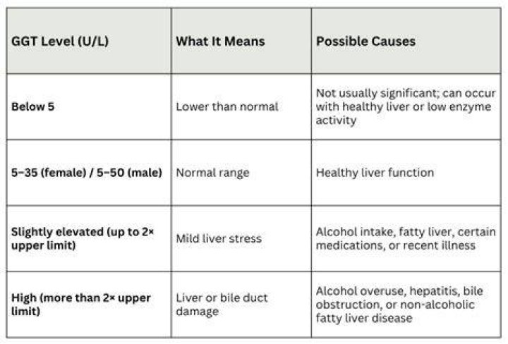 How To Interpret Gamma-Glutamyl Transferase (GGT) Levels In Alcoholics