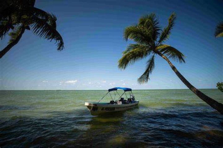 I really apreciate _______ on vacation Brainly.in