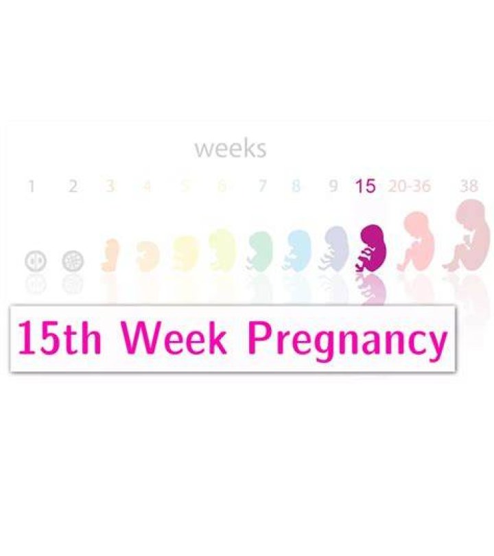 Insights From "16 And Pregnant"