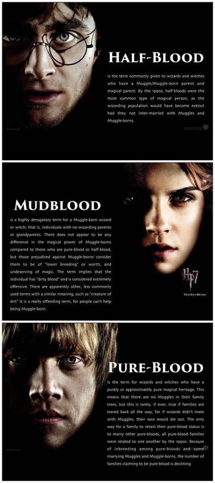 Is Harry Potter A Pure-Blood Wizard? Unraveling The Truth