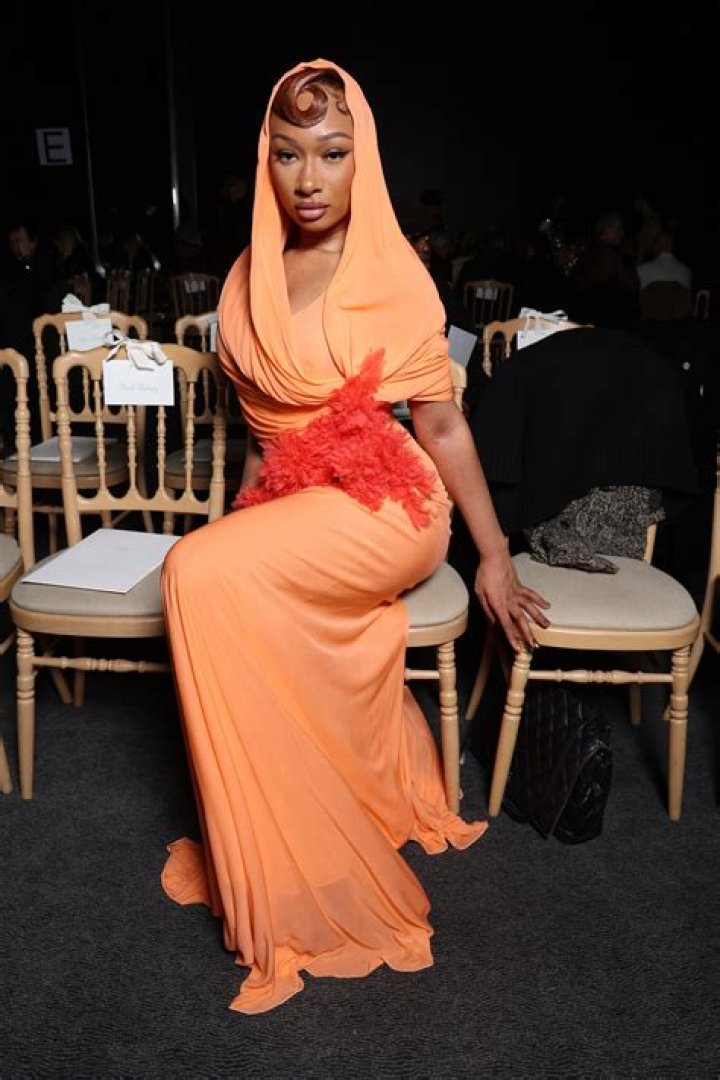 "Is Megan Thee Stallion Pregnant?" Discoveries And Insights Revealed