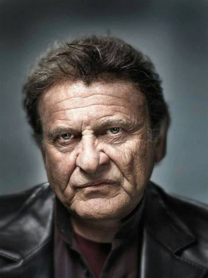 Joe Pesci Celebrity portraits, Interesting faces, Portrait