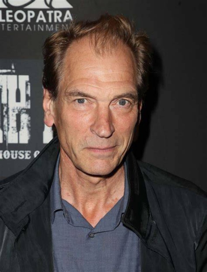 Julian Sands News Update Shaun Maldonado Kabar