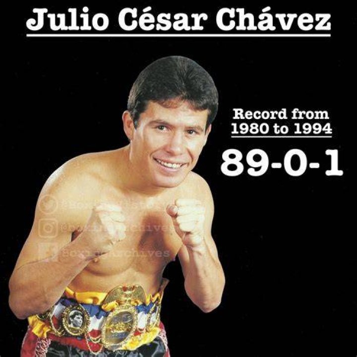 Julio C&eacute;sar Ch&aacute;vez Jr Record & Stats