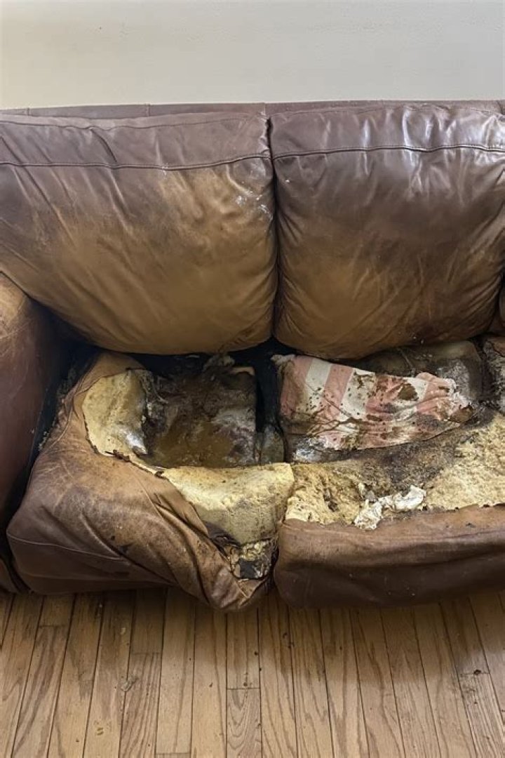 Lacey Fletcher Found 'Melted' into Couch A Bizarre and Tragic Incident